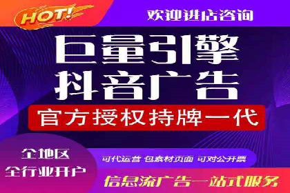 大型SEM服务公司案例分析
